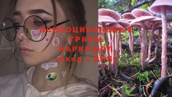винт Пересвет
