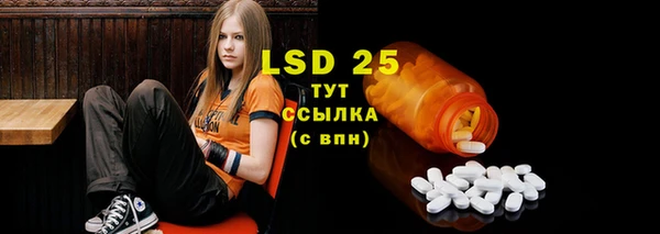 винт Пересвет