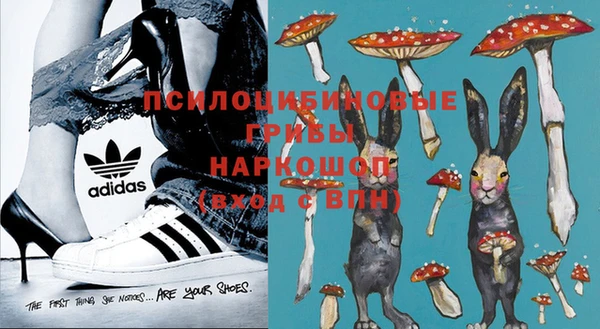 ГАЛЛЮЦИНОГЕННЫЕ ГРИБЫ Алзамай