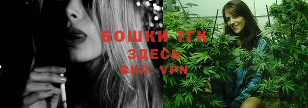 ГАЛЛЮЦИНОГЕННЫЕ ГРИБЫ Алзамай