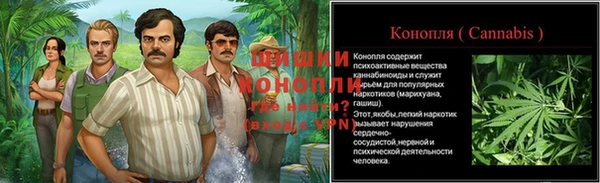 ГАЛЛЮЦИНОГЕННЫЕ ГРИБЫ Алзамай